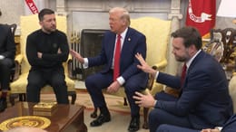 Медът и жилото на САЩ, или за разговора между Тръмп и Зеленски