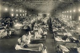 „Германците слагат грип в аспирина.“ Епидемиите в човешката история