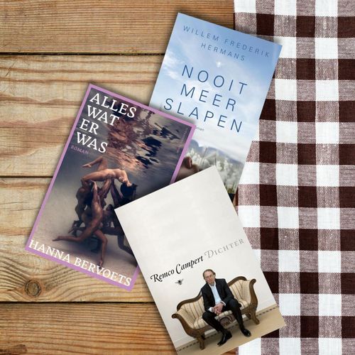 Неоткрехнатото ковчеже на нидерландската литература