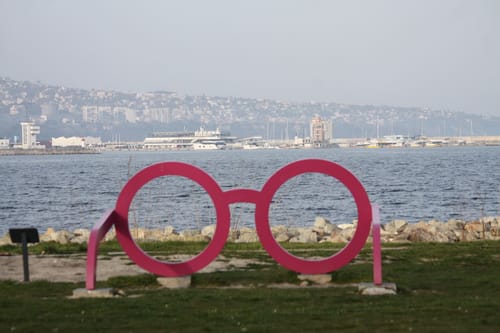 Новите проблеми на Варна