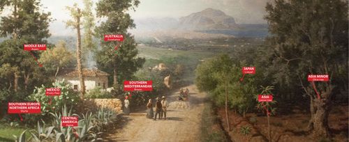 Картината "Изглед към Палермо" на Фраческо Лоджаконо от 1875 г., с добавени надписи към различни растения от цял свят.