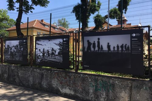Част от изложбата „Фотоевидънс“ по оградите на 120-то ОУ в София