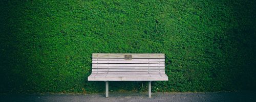Празна пейка пред стена от зеленина