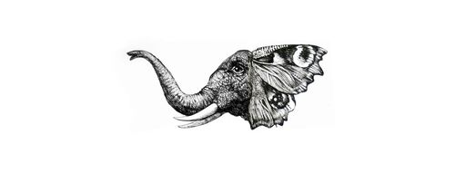 Илюстрация на слон
