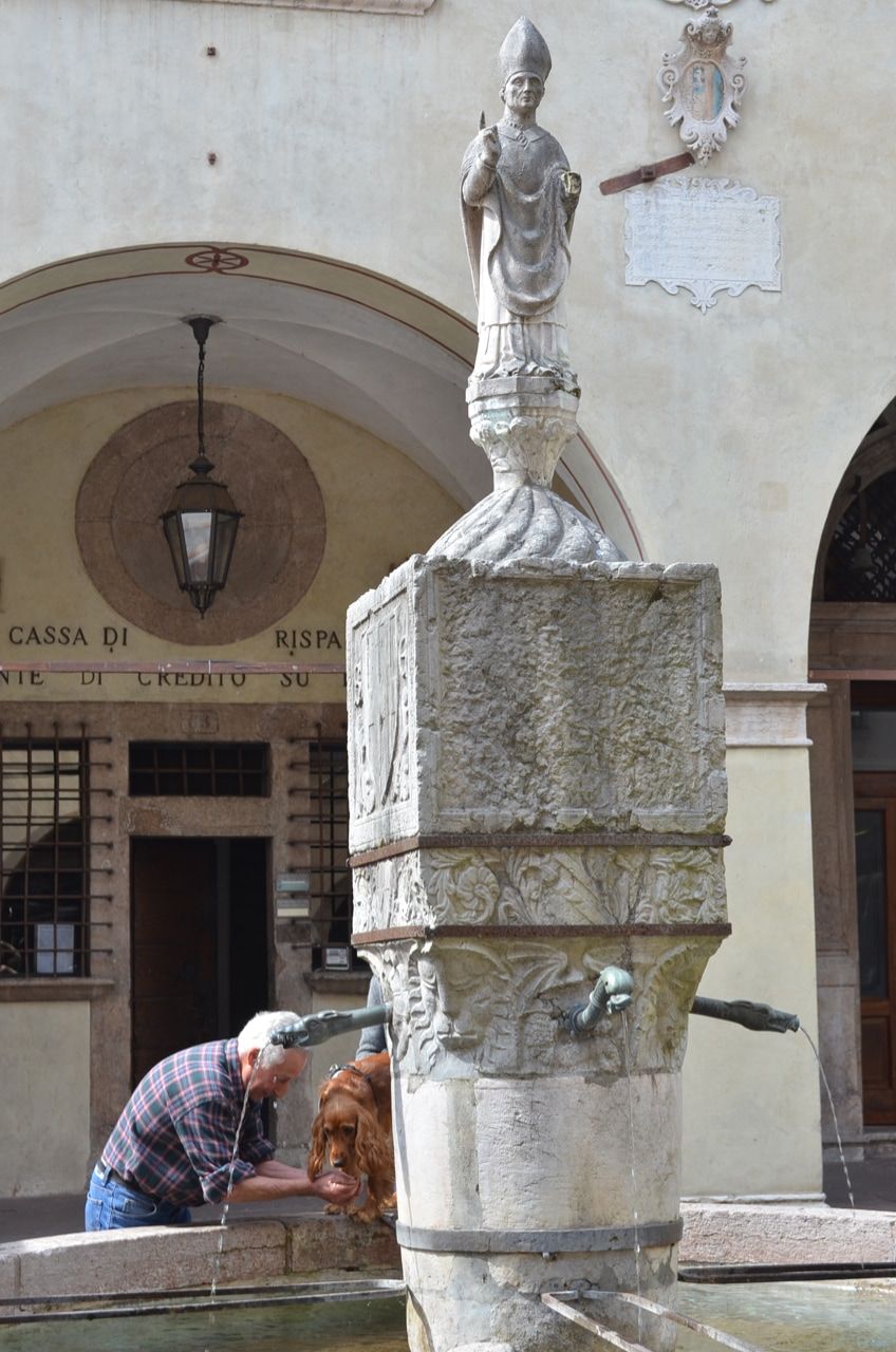 Възрастен човек помага на куче да се напие с вода от фонтана „Сан Лукано“ на Пазарния площад