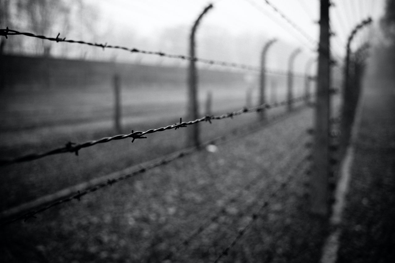 Аушвиц-Биркенау, 2020 г. © Фелия Барух