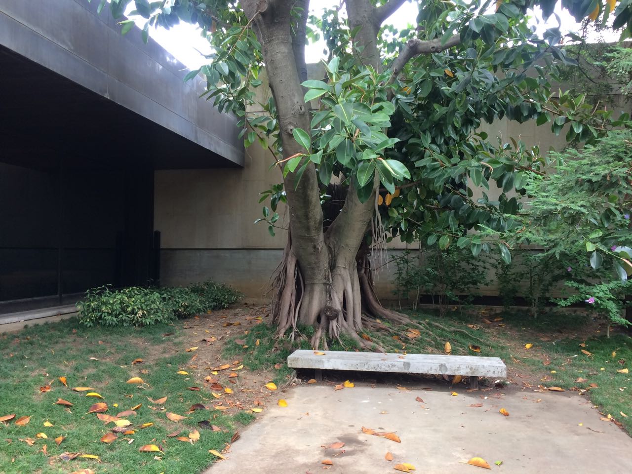 Gulbenkian Park