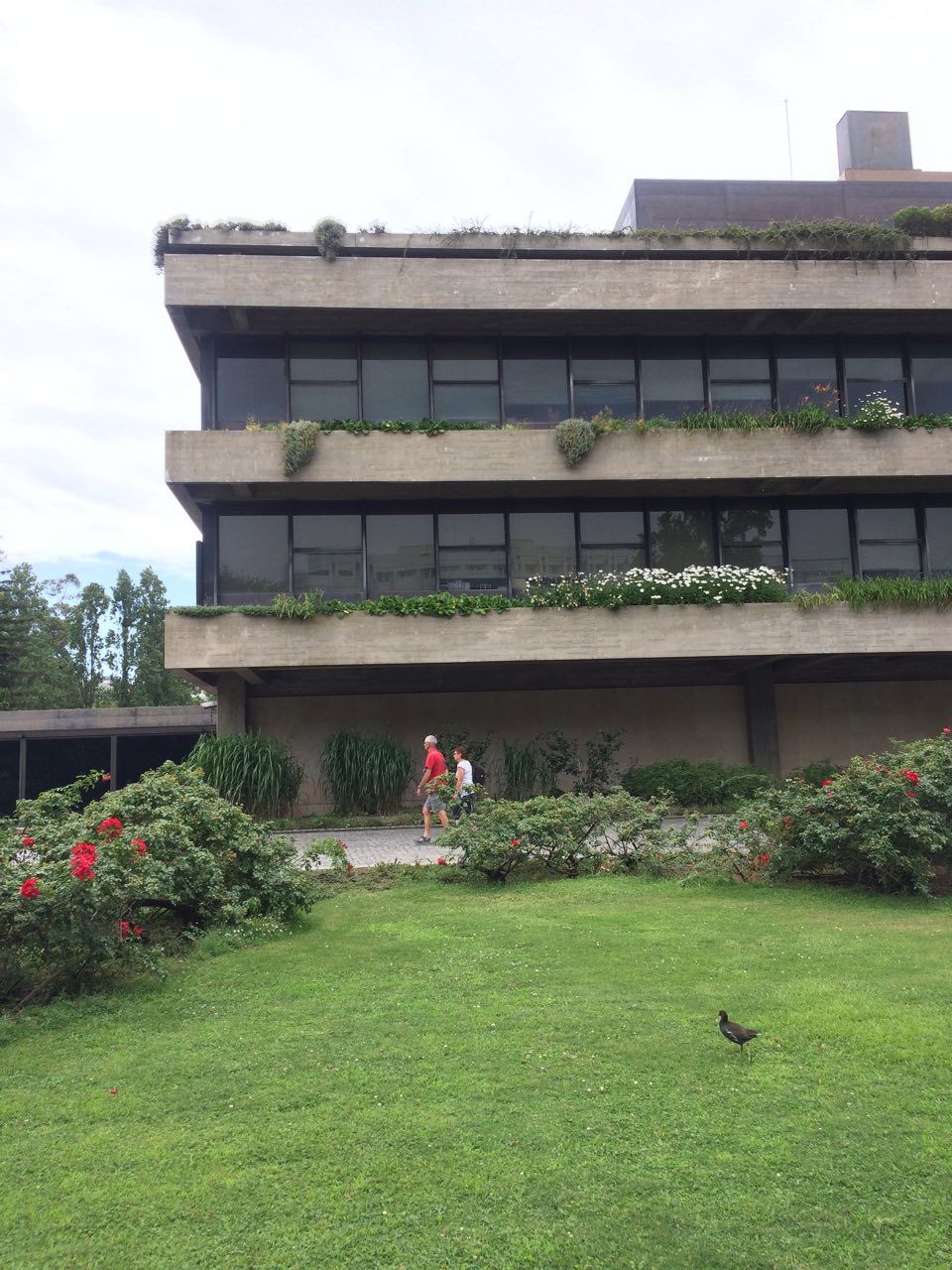 Gulbenkian Park